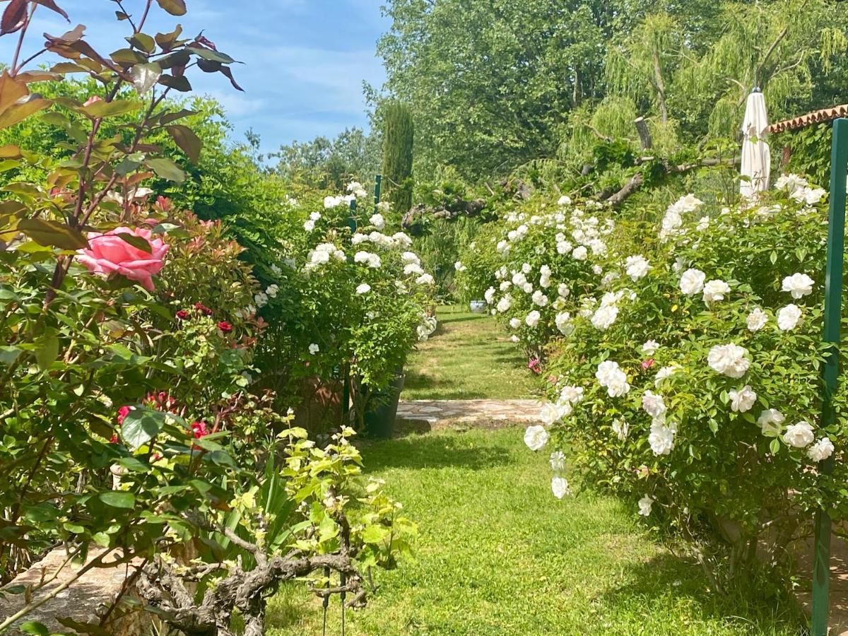 Villa des Roses Roussillon en Isere Extérieur photo