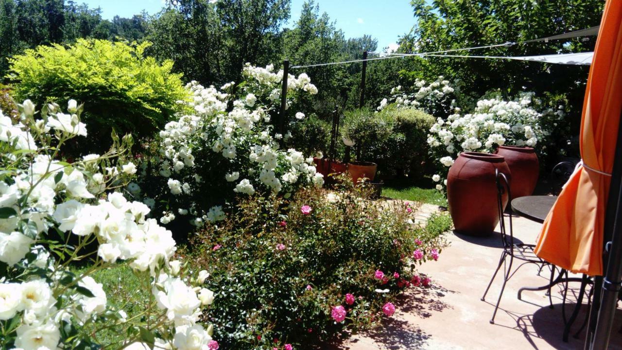 Villa des Roses Roussillon en Isere Extérieur photo